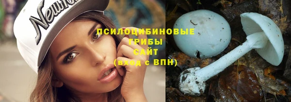 сатива Видное