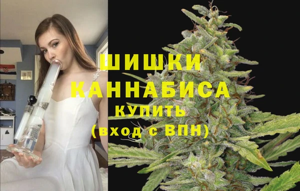 apvp Ветлуга