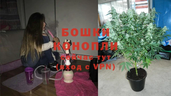 mdpv Новодвинск