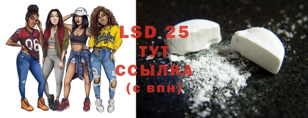 mdpv Новодвинск
