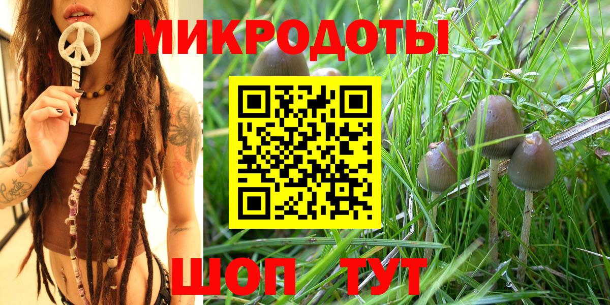 где купить наркоту  Галлюциногенные грибы Magic Shrooms  Костомукша  Псилоцибиновые грибы Psilocybe 
