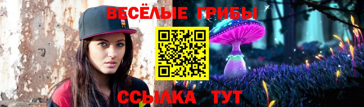 Костомукша  Псилоцибиновые грибы мухоморы  Вход с VPN 